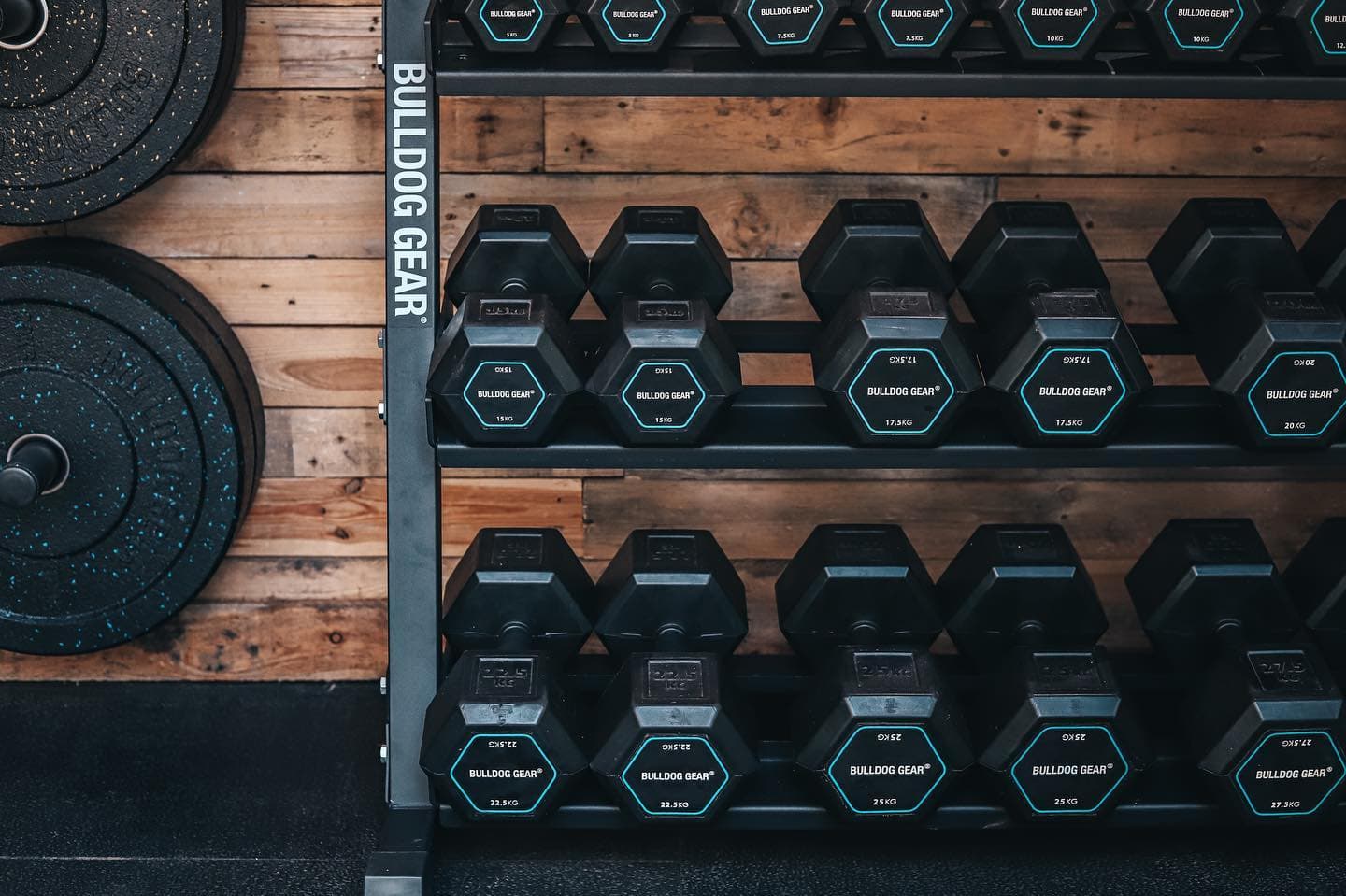 Bulldog Gear weight plates in the studio